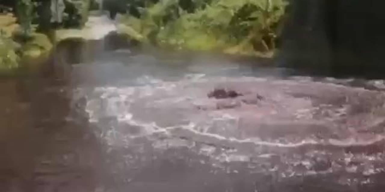 Fabrikaların Zehirli Atıkları Armut Bahçelerine Aktı