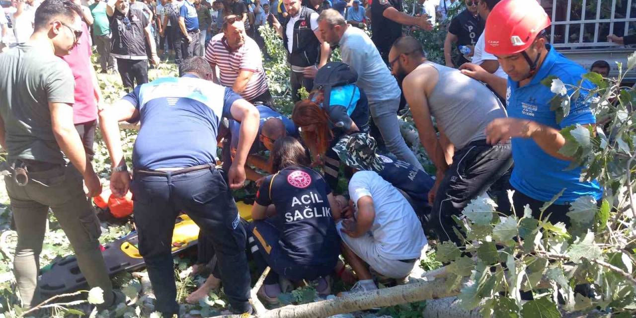 Kırkpınar’da Korkutan Anlar: Devrilen Ağacın Altında Kalan 2 Kişi Yaralandı