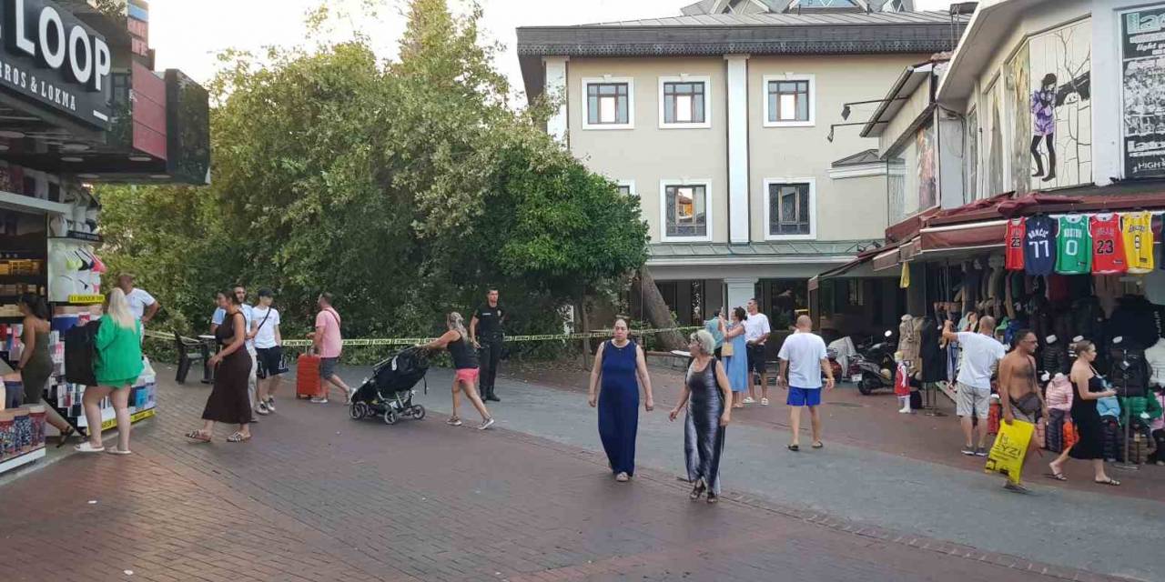 Alanya’da Asırlık Çınar Gövdesinden Kırılıp Yola Devrildi