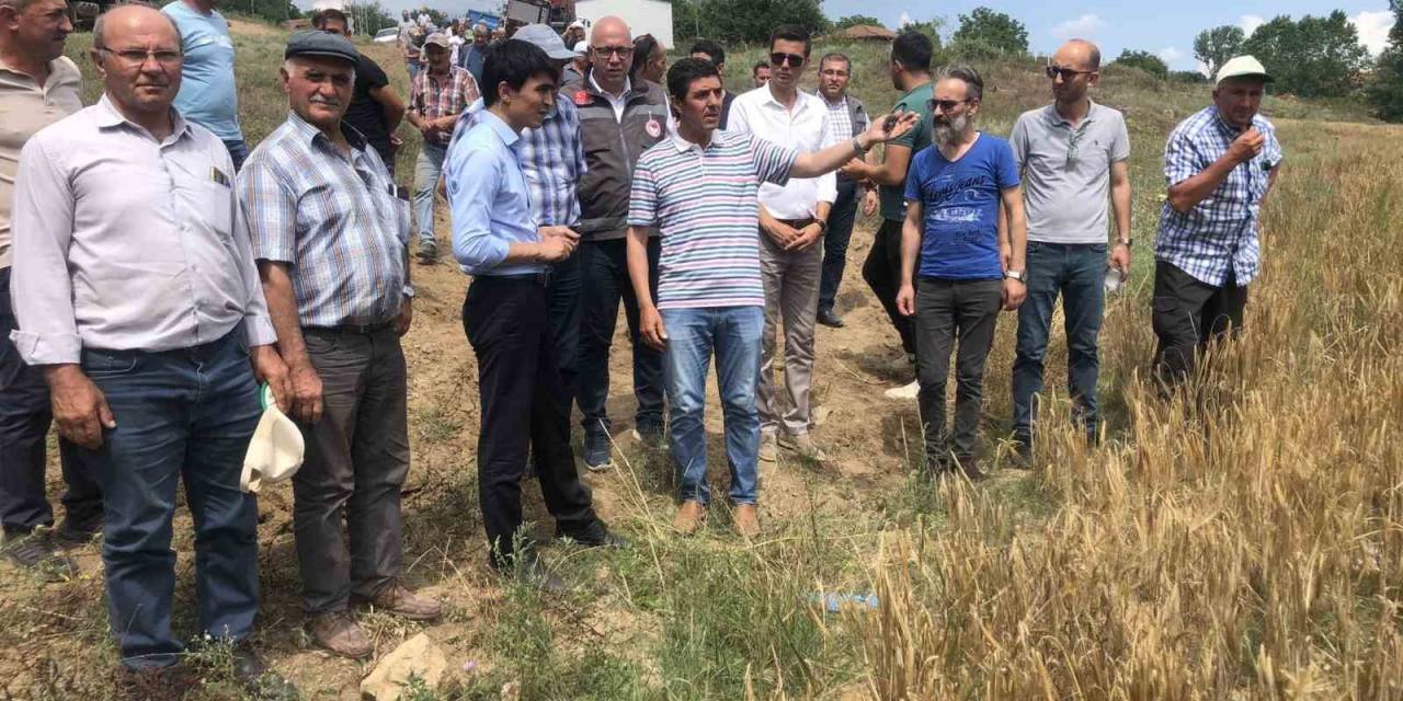 Kofçaz’da Tarla Günü Etkinliği