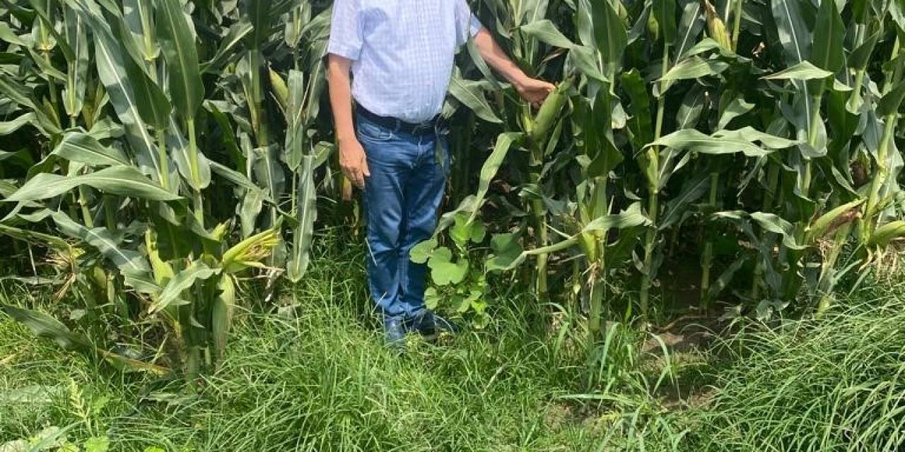Yüreğir Ziraat Odası Başkanı Doğan: “mısır Hasadı Yaklaşırken Dolu Depolar Çiftçiyi Kaygılandırıyor”