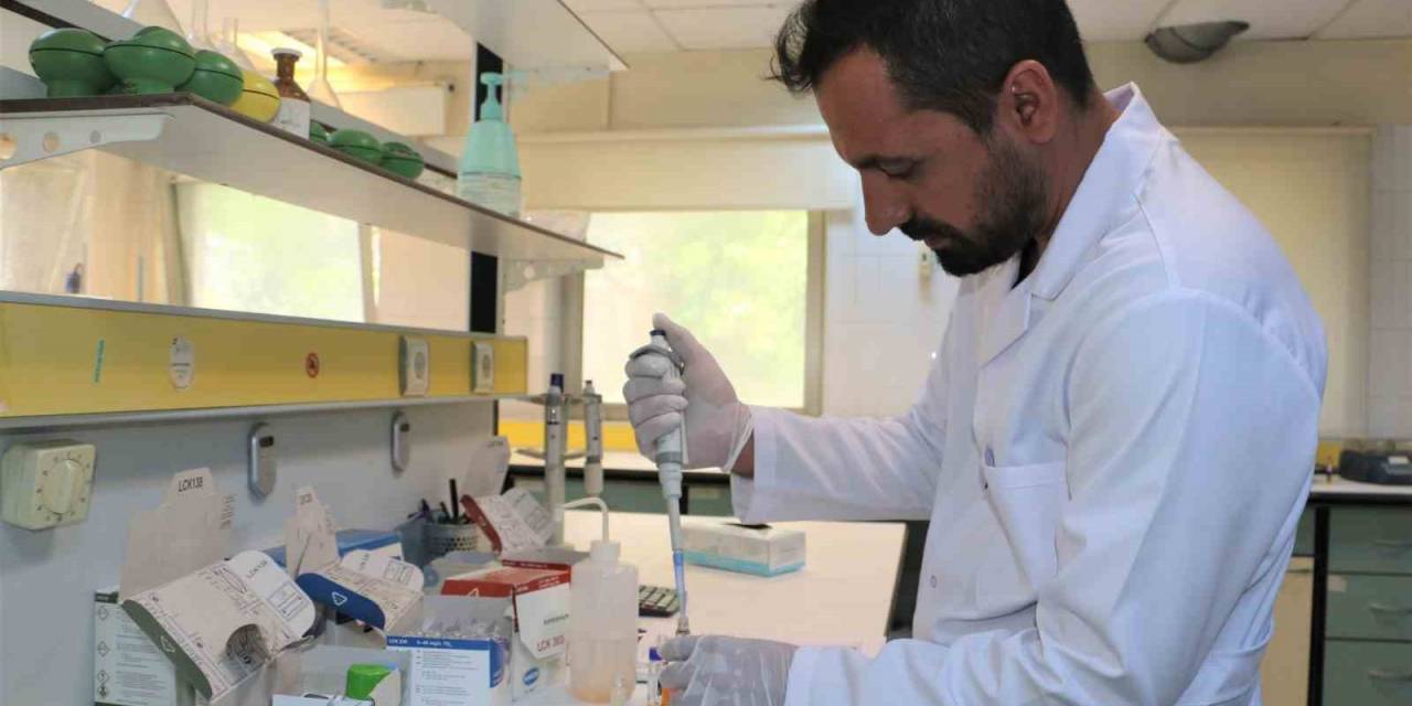 Diyarbakır’da Günlük Ortalama 100 Bin Ton Atıksu Arıtılıyor