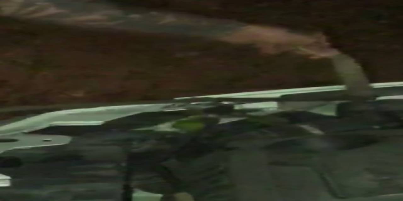 Aracın Kaput Kısmına Giren Engereği Elleriyle Yakalayıp Doğaya Saldı