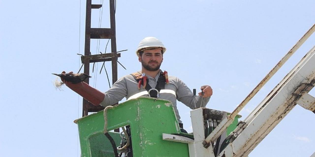 Mahsur Kalan Karga Aras Ekipleri Tarafından Kurtarıldı