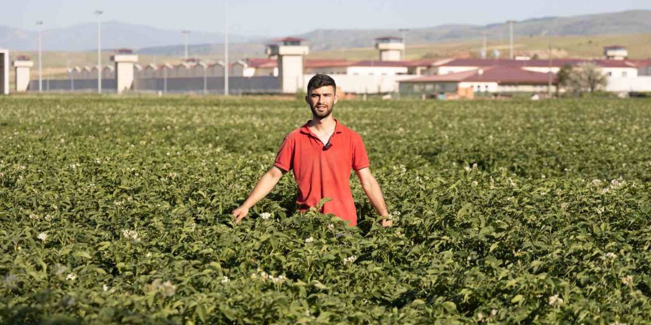 Fenomen Çiftçinin Afyon Şivesiyle Yaptığı Espriler Dilden Dile Dolaşıyor