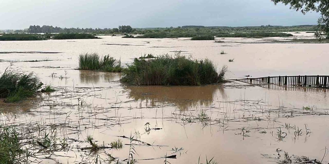 Efteni Gölü Yağışlar Sonrası Taştı