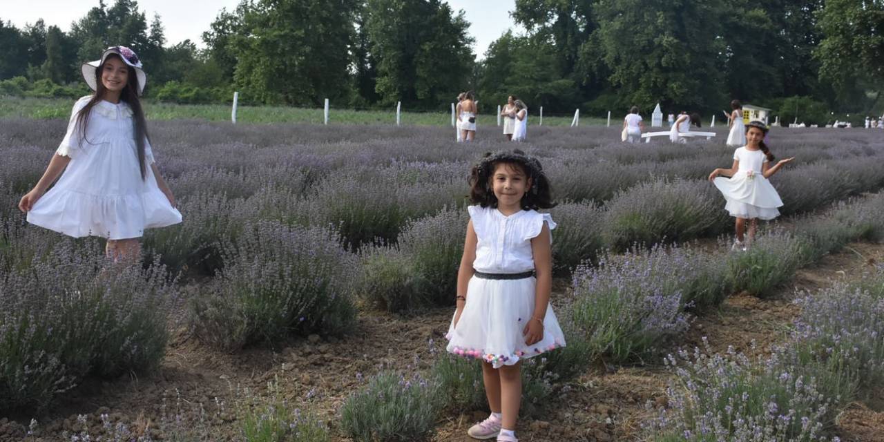 Lavanta Tarlası Alternatif Turizm Rotası Oldu