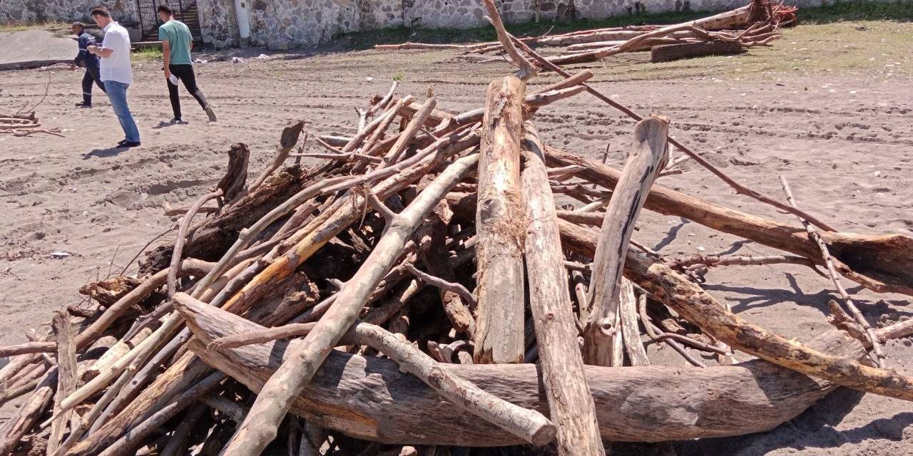 Akçakoca’da Odunlar Sahili Doldurdu