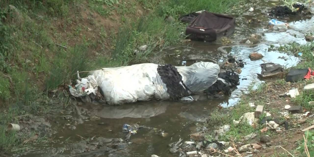 Arnavutköy’de Haşere Yuvasına Dönen Dere Mahalleliyi İsyan Ettirdi
