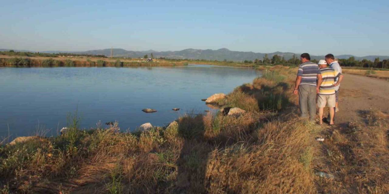 Balıkesir’de Derelerde Artan Kirlilik, Toplu Balık Ölümlerine Neden Oldu