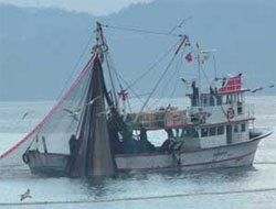 Rizeli Balıkçılar Umduğunu Bulamadı