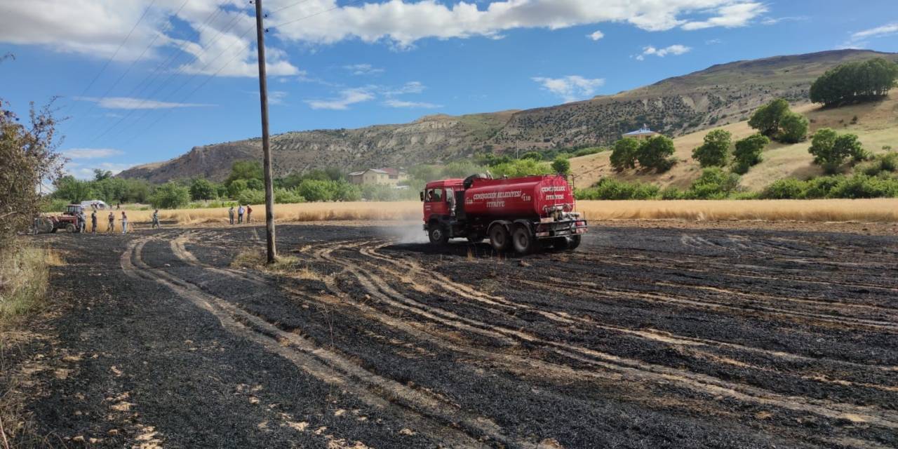 Tunceli’de 15 Dönüm Ekili Alan Kül Oldu