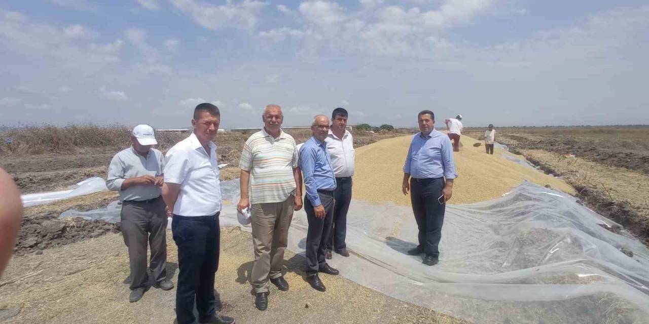 Manyas’ta Tmo Hububat Alım Merkezi Açıldı