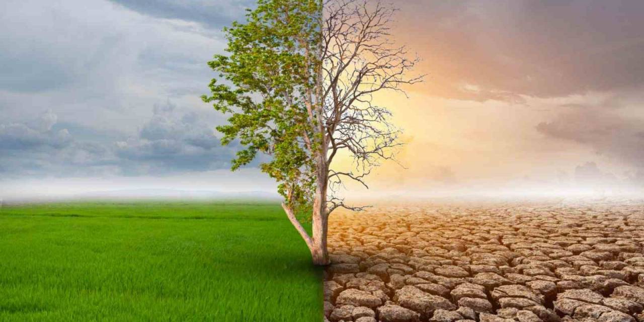 İklim Krizi Gıdaların Sofradan Eksilmesine Neden Olabilir