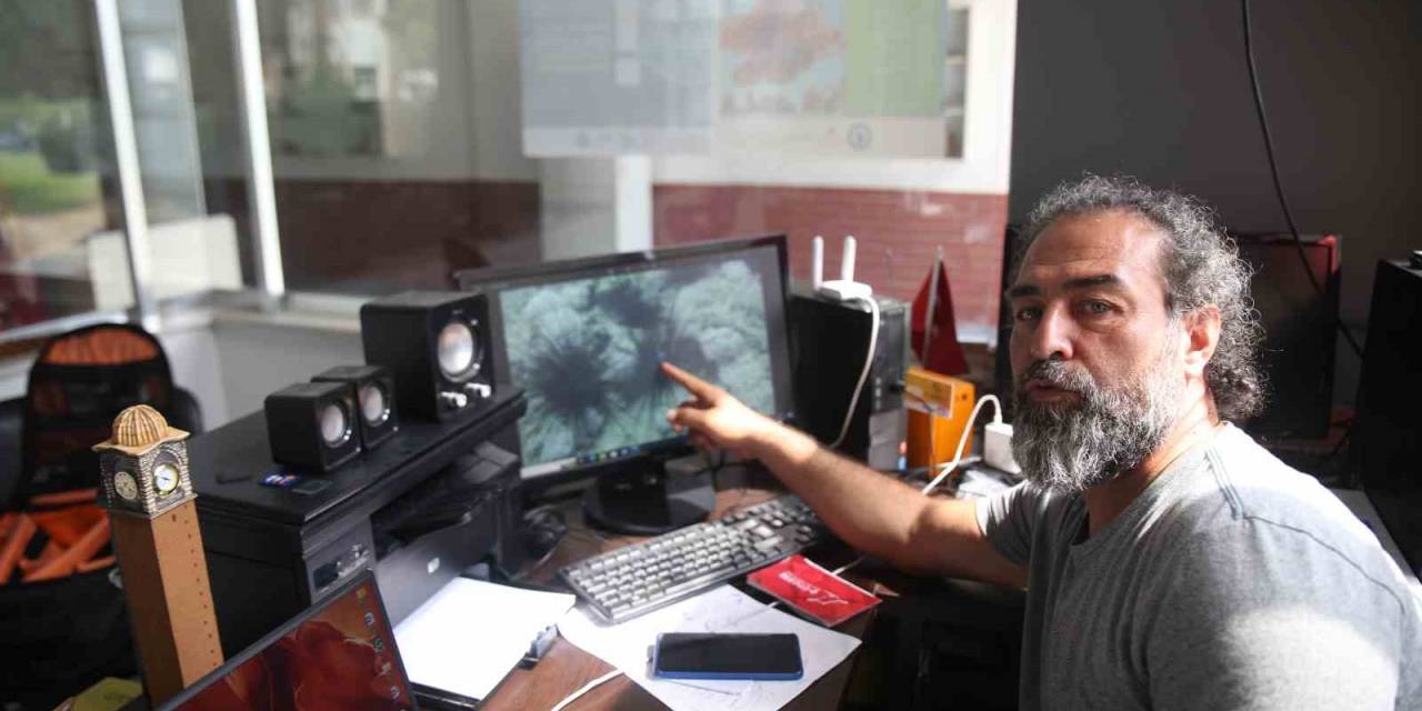 Dünyada İlk Gerçekleşiyor: İnsan Gözüyle Bir Deniz Tropikleşiyor