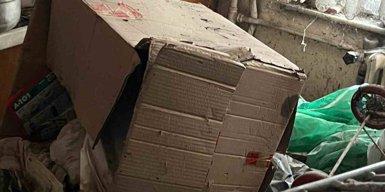 40 Ton Atık Çıkarılan Evde Yeniden Çöp Birikiyor