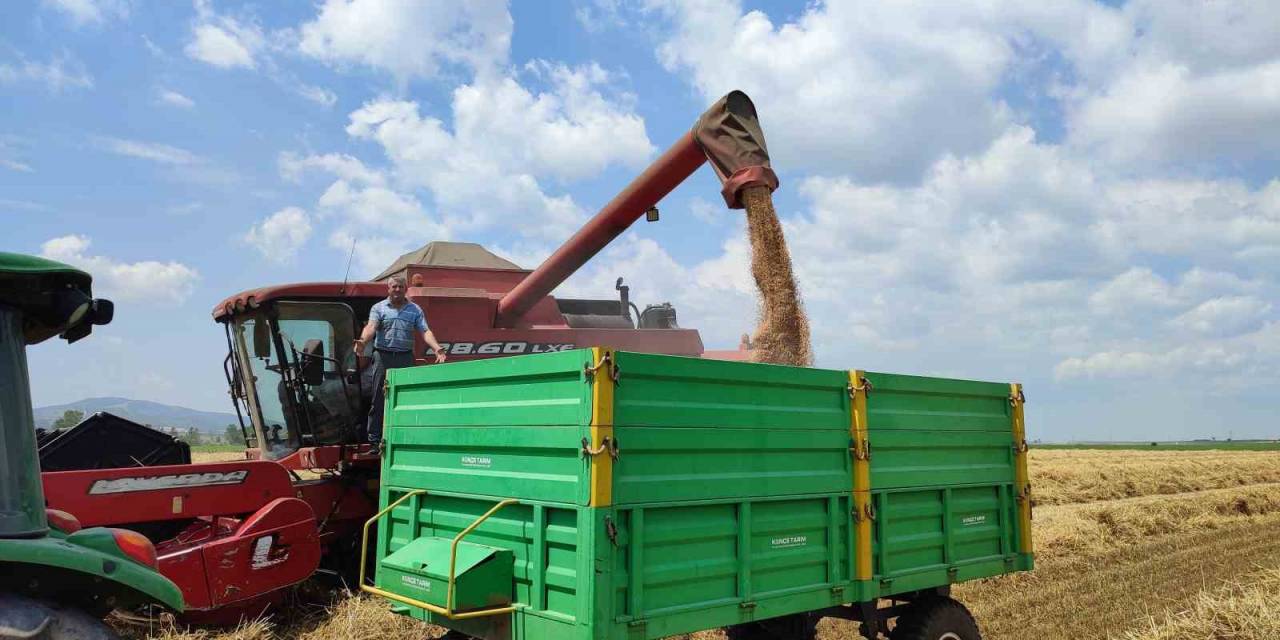 Buğday Verimi Keşan Çiftçisinin Yüzünü Güldürdü