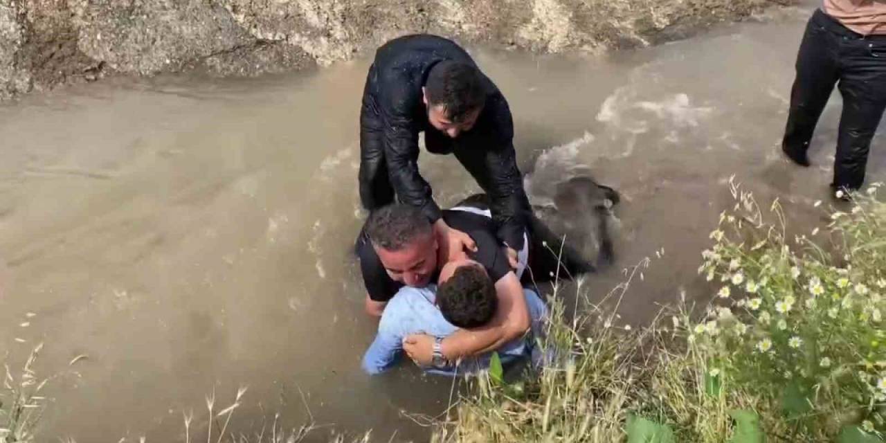 En Sulu Düğün Eğlencesi: Düğün Sahiplerini Merdivene Bağlayıp Sulama Kanalına Attılar