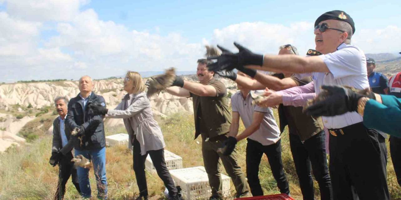 Kapadokya’da Keneye Keklikli Çözüm