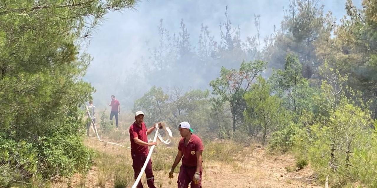 Eskişehir’de Orman Yangını