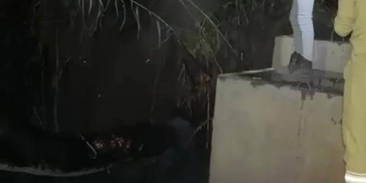 Gazipaşa’da Hazineye Ait Bozuk Ormanlık Alanda Yangın Çıktı