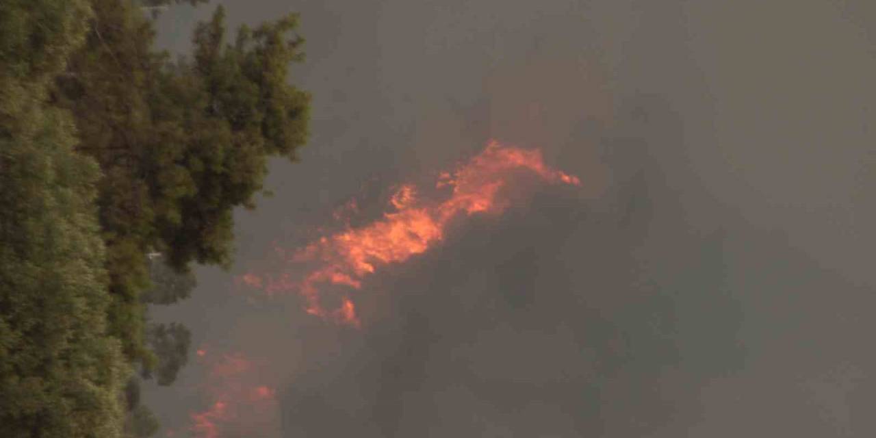 Valilikten Sıcak Hava Ve Yangın Riski Uyarısı