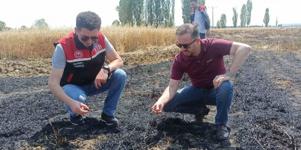 Tepebaşı İlçe Tarım Müdürlüğü Yangın Çıkan Tarlalarda İnceleme Yaptı