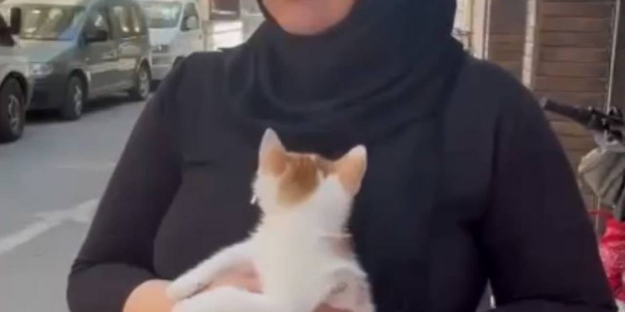 Balkonda Mahsur Kalan Yavru Kediyi İtfaiye Kurtardı
