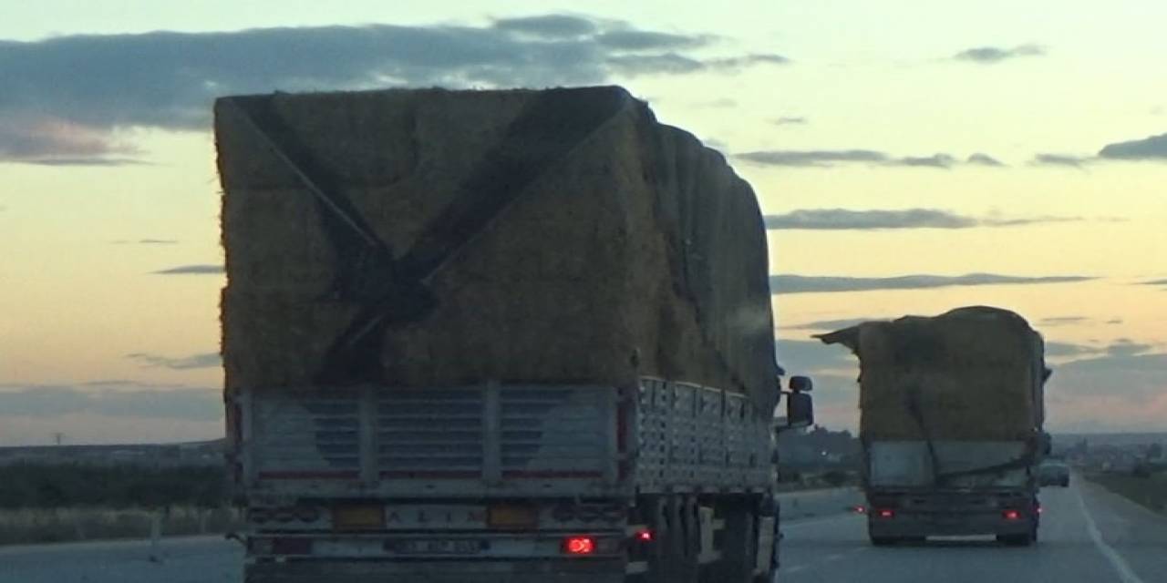 Saman Balyası Yüklü Kamyonların Tehlikeli Yolculuğu