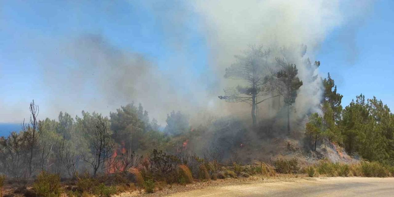 Hatay’da Orman Yangını, Hava Ve Karadan Müdahale İle Kontrol Altına Aldı