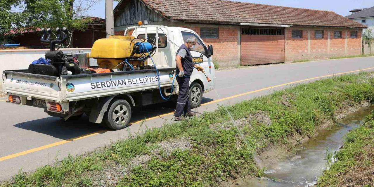 Serdivan Belediyesi İlaçlama Çalışmalarını Yoğunlaştırdı