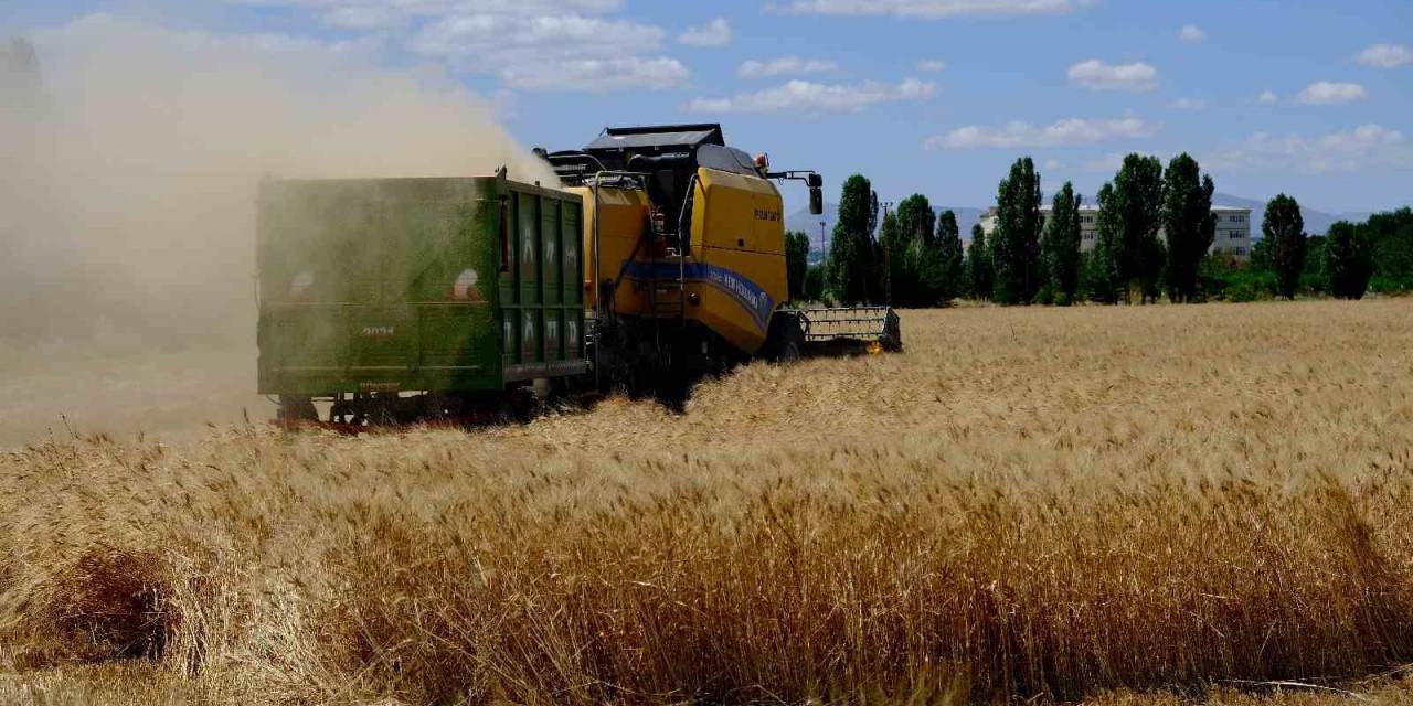 “tarladan Sofraya Tarım Lisesi” Projesi Meyvelerini Vermeye Başladı