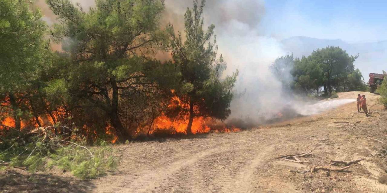 Adana’da Orman Yangını