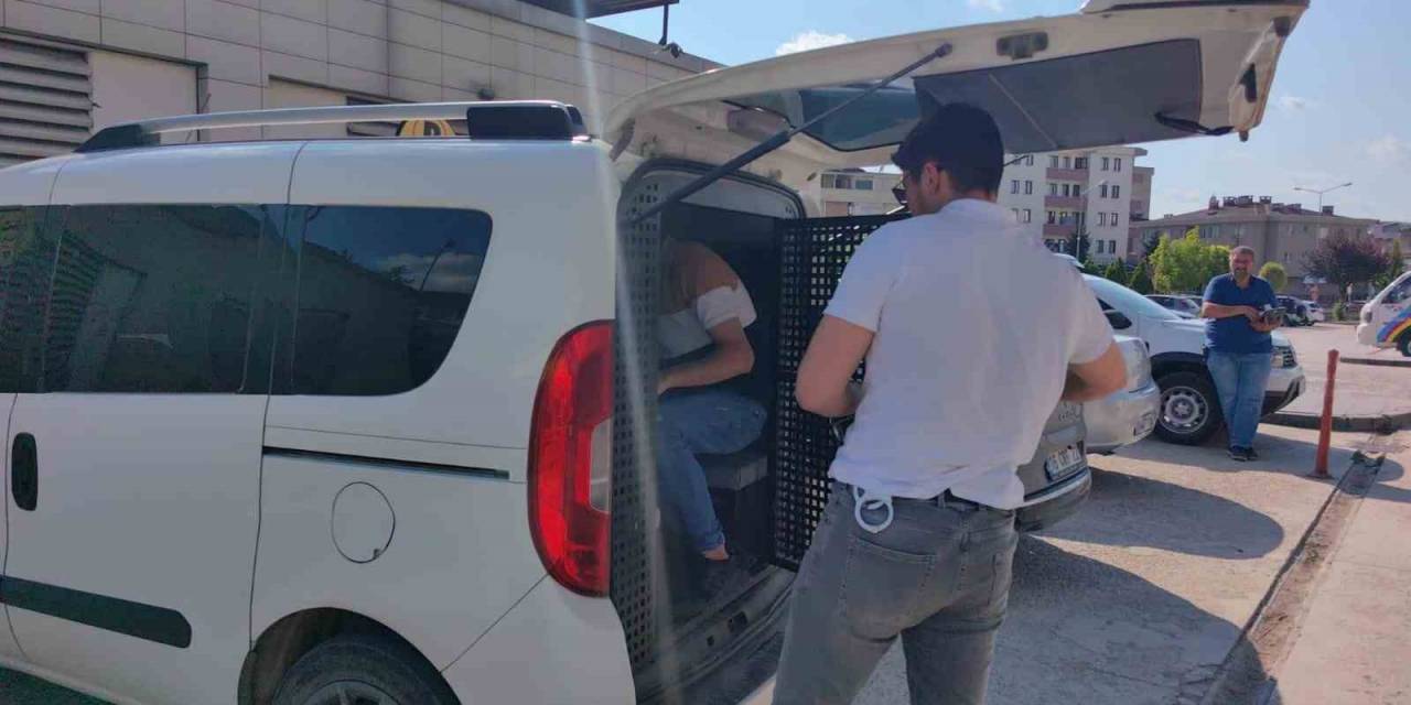 Kiracı Ve İşyeri Sahibi Kavgasında 2 Kişi Tutuklandı, 1 Kişi Sınır Dışı Edildi