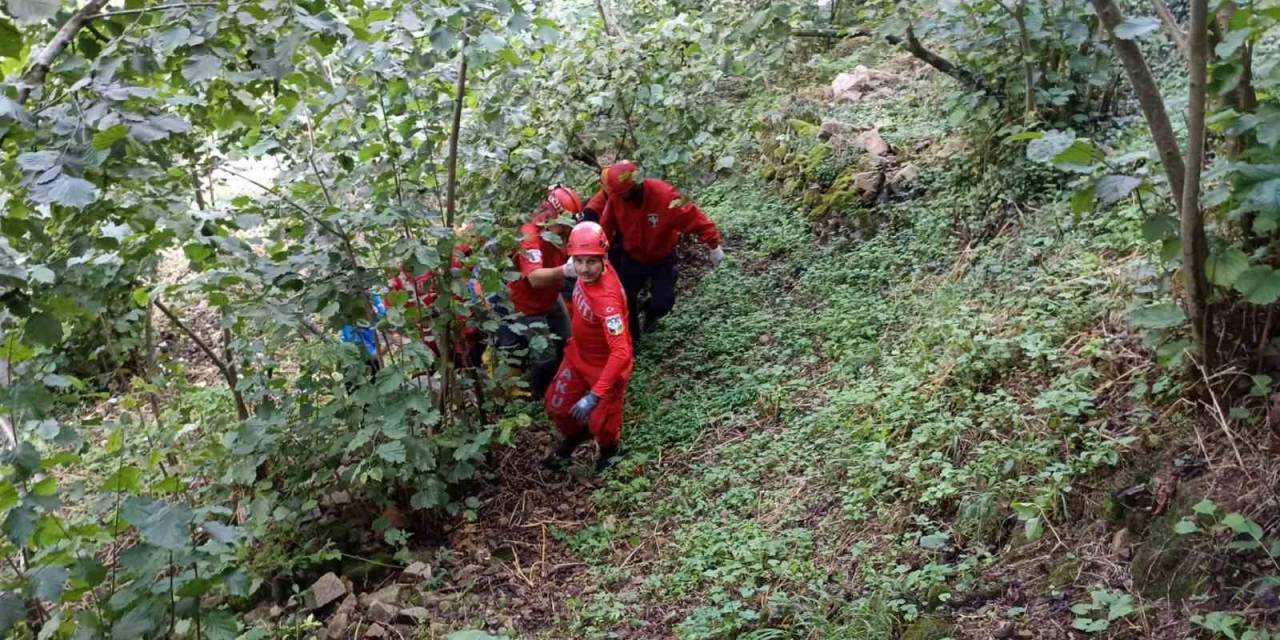 Giresun’da Göçük Altında Aranan Şahsın Cansız Bedeni Olay Yerinden 2 Km Aşağıda Dere Kenarında Bulundu