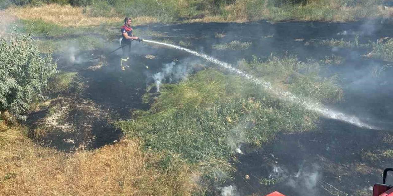 Burdur’da Ekin Yangını Hayvan Barınağına Sıçramadan Söndürüldü