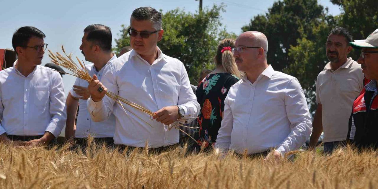 Sındırgı’da Yerli Üretim İle Alınan Verim Yüzleri Güldürdü