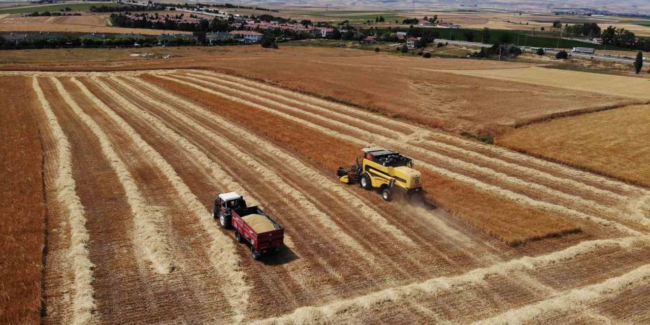 Odunpazarı’nda Biçerdöver Ve Balya Bağlama Fiyatları Belli Oldu