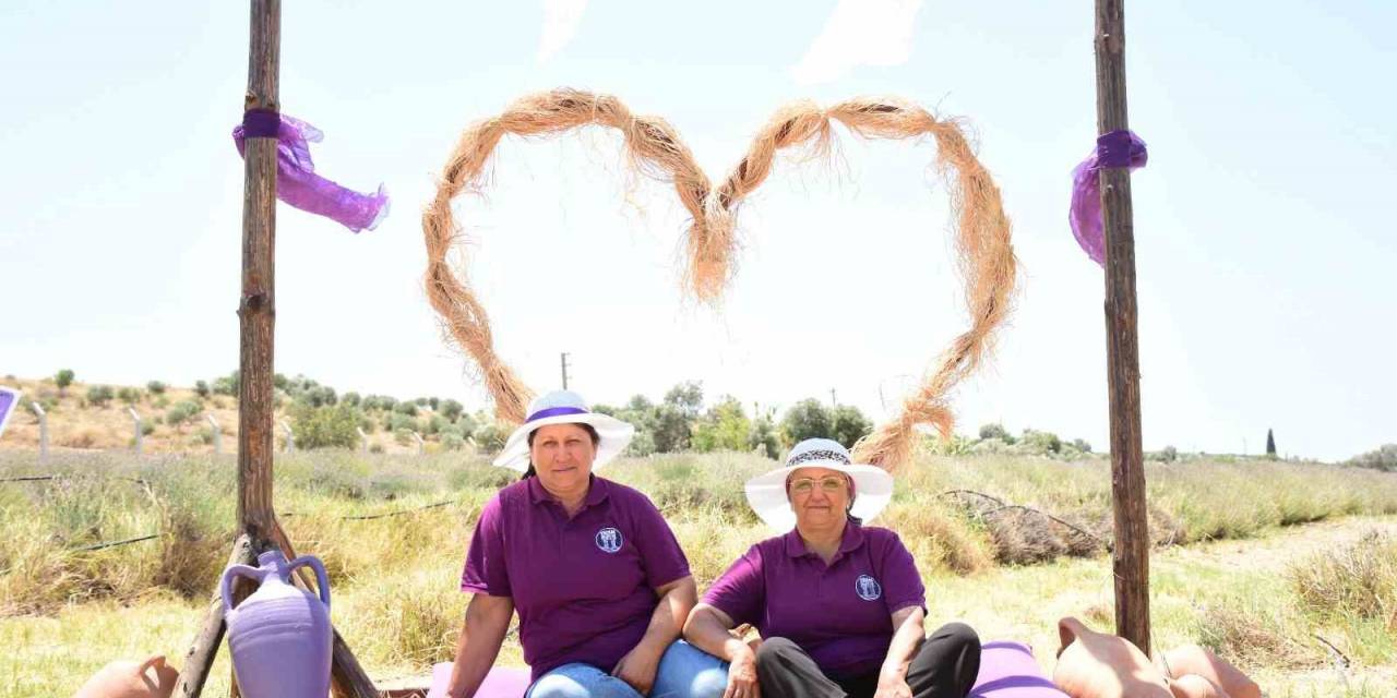 Didim’in Mis Kokulu Lavanta Festivali’ne Sayılı Günler Kaldı