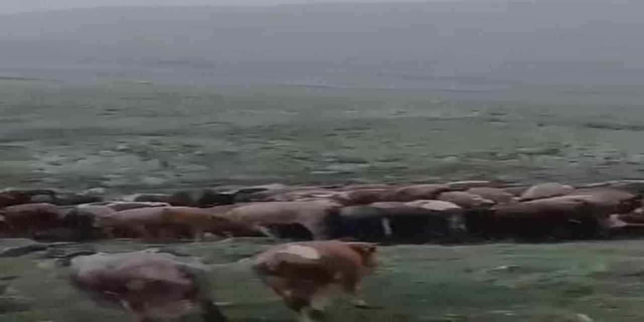 Temmuz Ayında Kar Yağışı