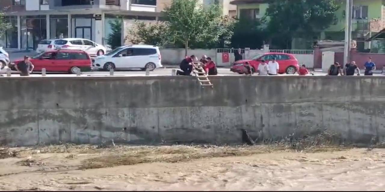 Çaresizce Kurtarılmayı Bekliyordu, İmdadına İtfaiye Ekipleri Yetişti