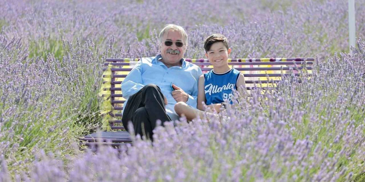 Aksaray Belediyesinin Lavanta Bahçesi Ziyaretçilerin Akınına Uğruyor