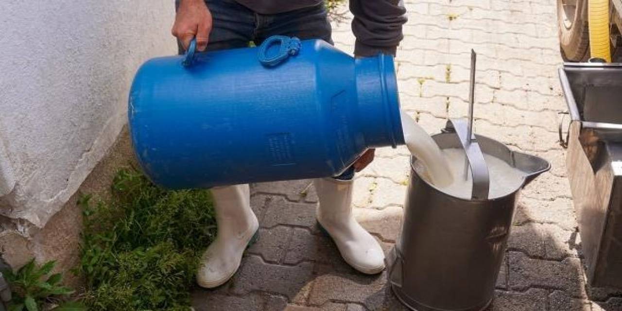 Ticari Süt İşletmelerince 944 Bin 349 Ton İnek Sütü Toplandı