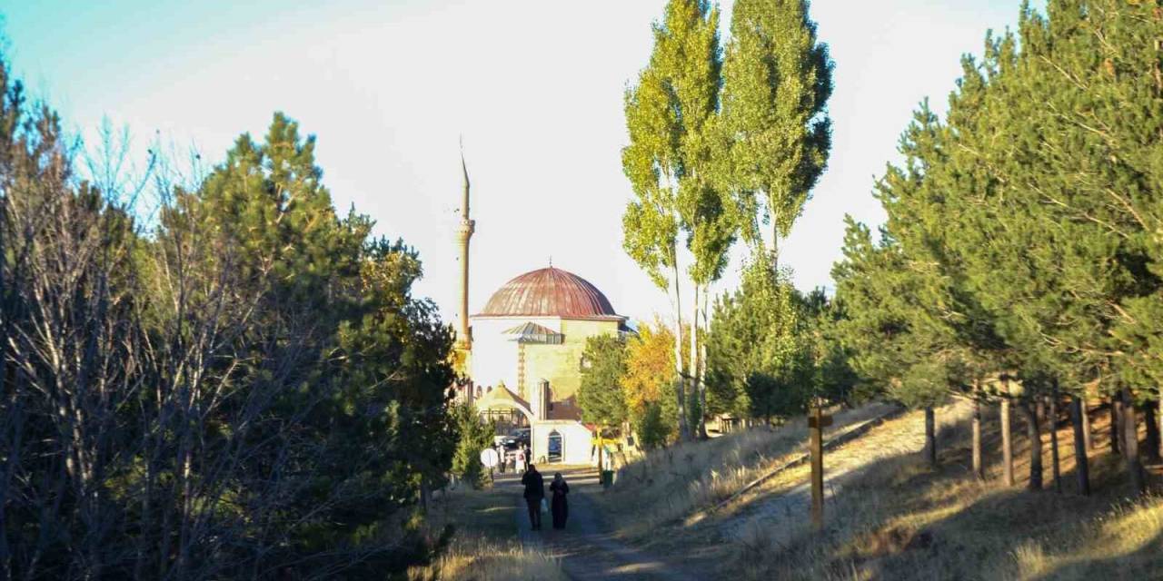 Erzurum’da Ormanlık Alanlara Girişler Yasaklandı