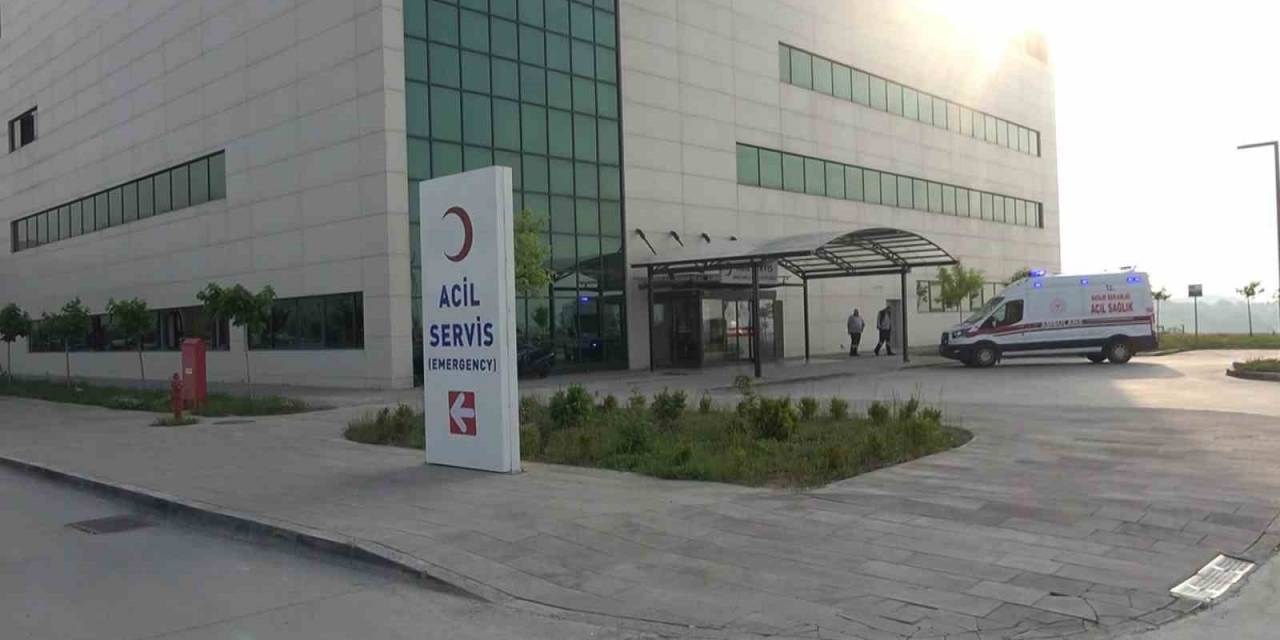 Ağaçtan Düşerek Ağır Yaralanan Müezzin Hayatını Kaybetti