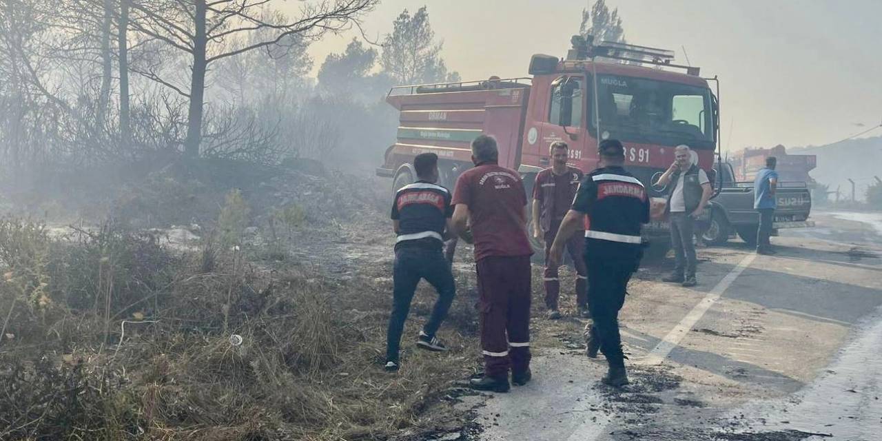 Jandarmadan, Yangın “seferberliği”