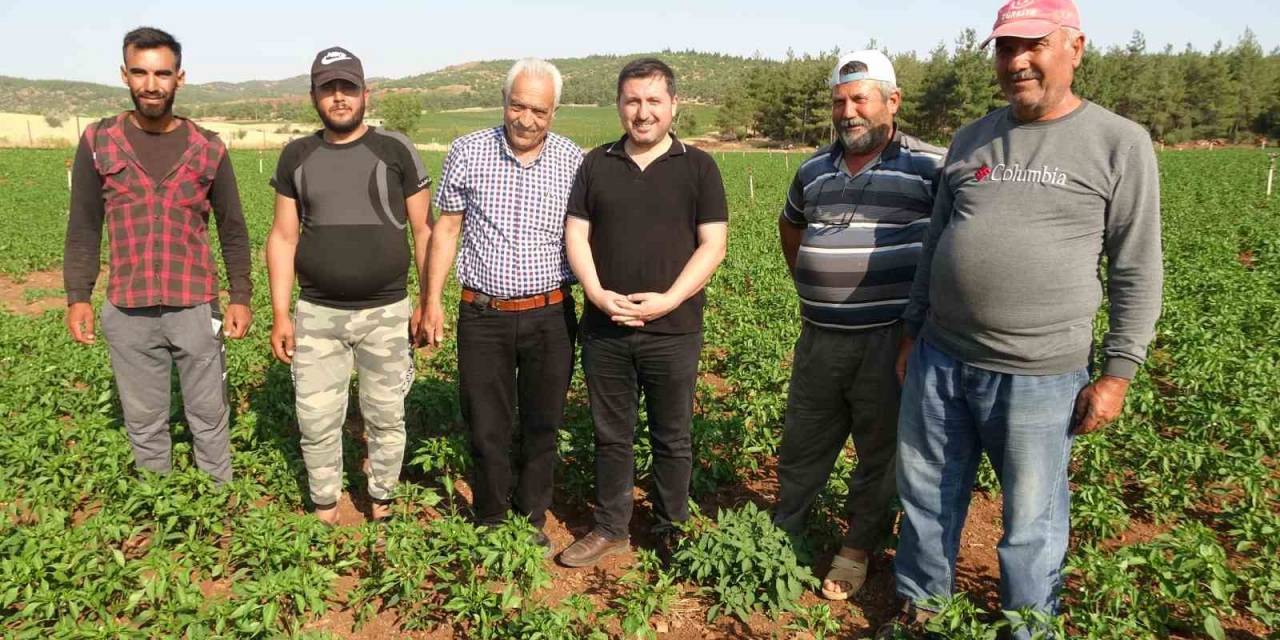 Suya Kavuşan Köyde Arazi Fiyatları Değerlendi, Geri Dönüşler Başladı