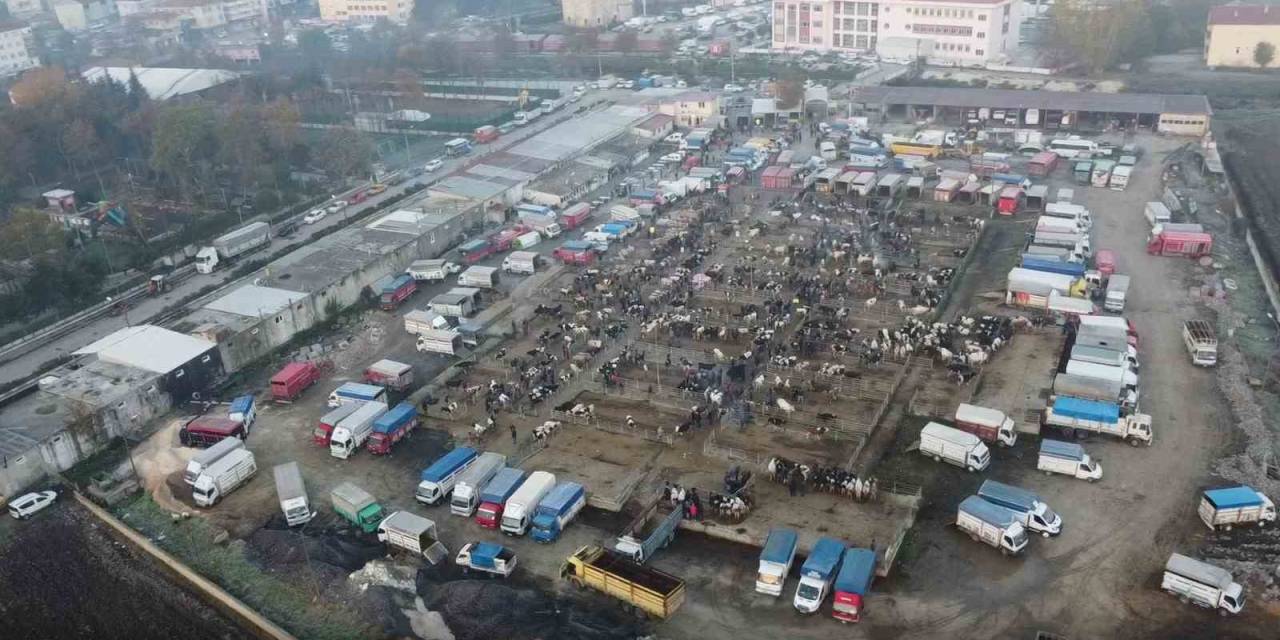Havsa Canlı Hayvan Pazarı Kapatıldı