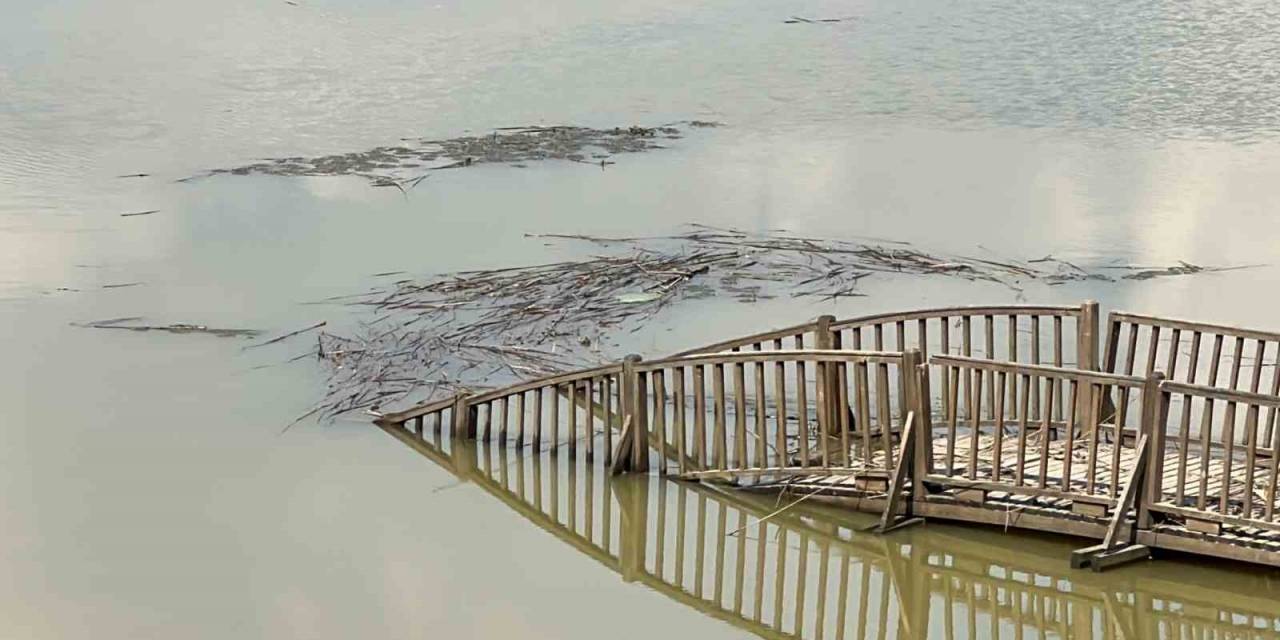 Efteni Gölü’nde Hasarın Boyutu Ortaya Çıktı