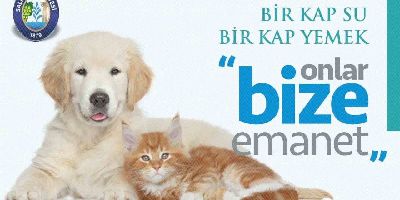 Salihli’de Sokak Hayvanları İçin Çağrı: ’bir Kap Su, Bir Kap Yemek’